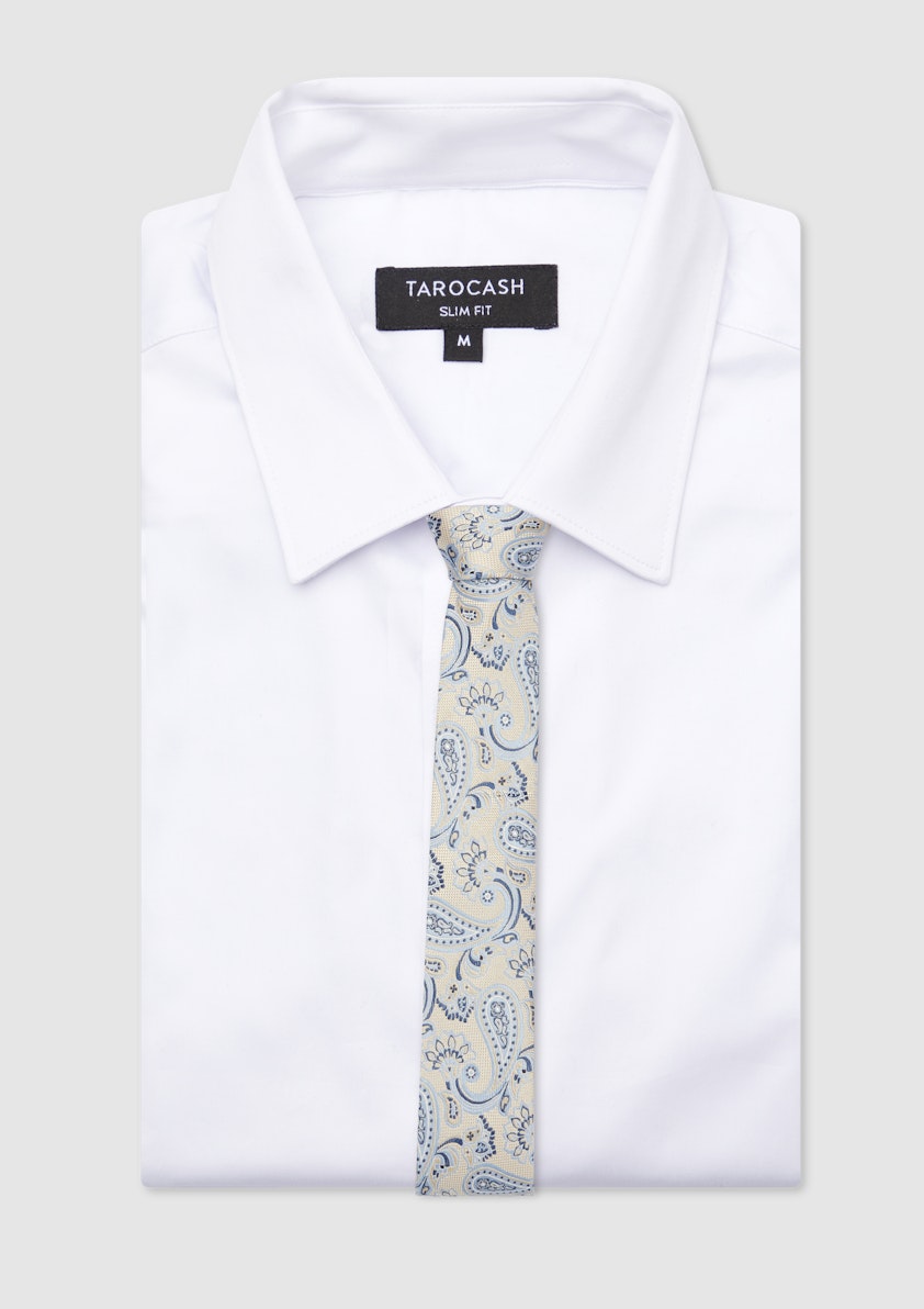 Kaysen Paisley Silk Tie