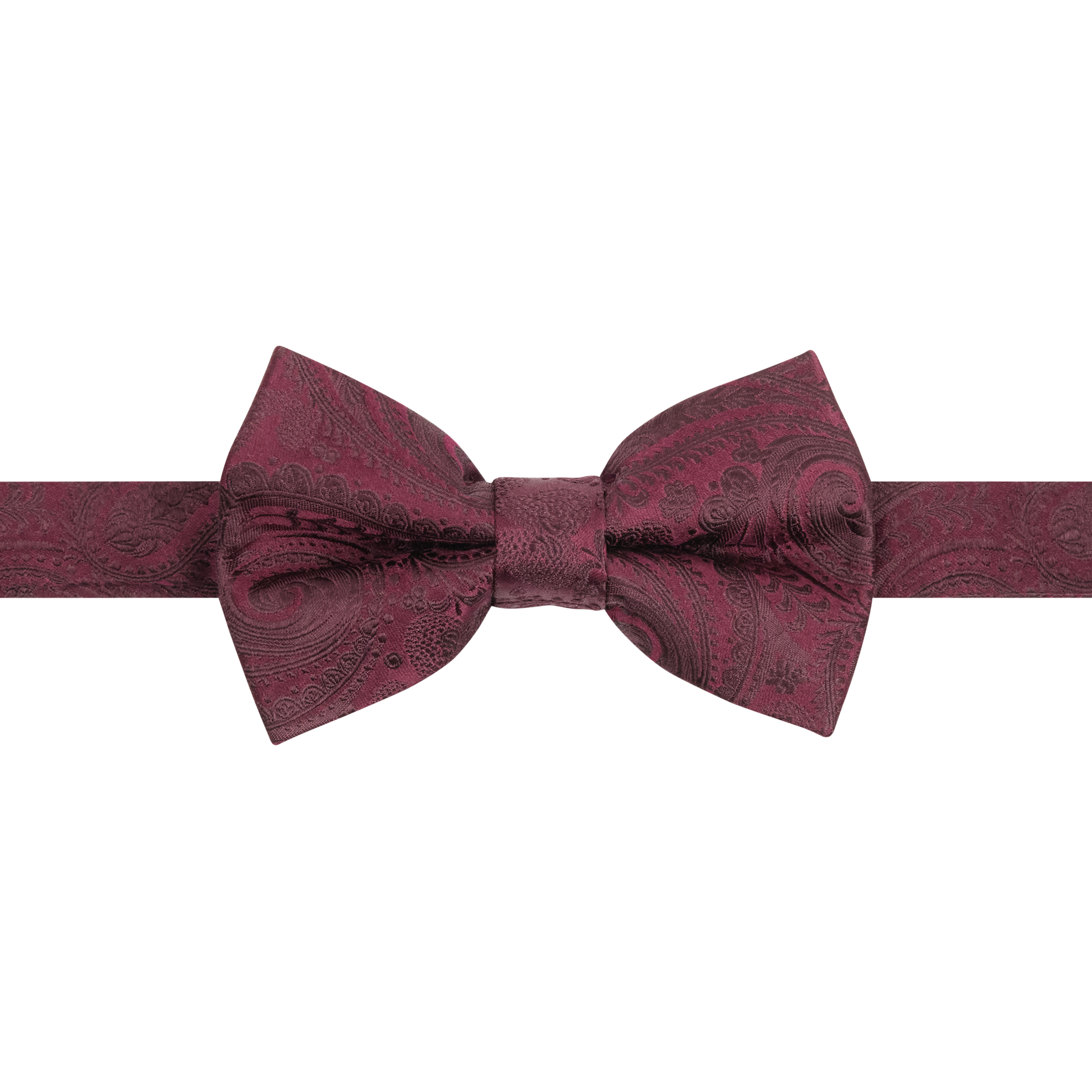 Piedmont Paisley Silk Bow Tie