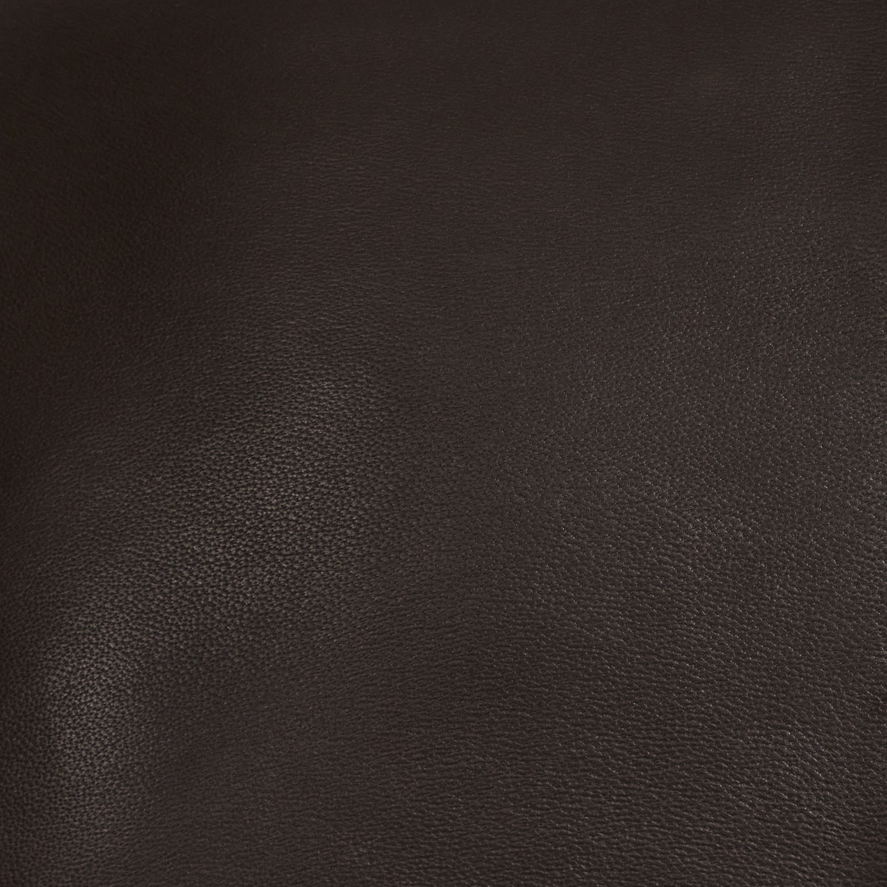 Chocolate Denton Leather Jacket