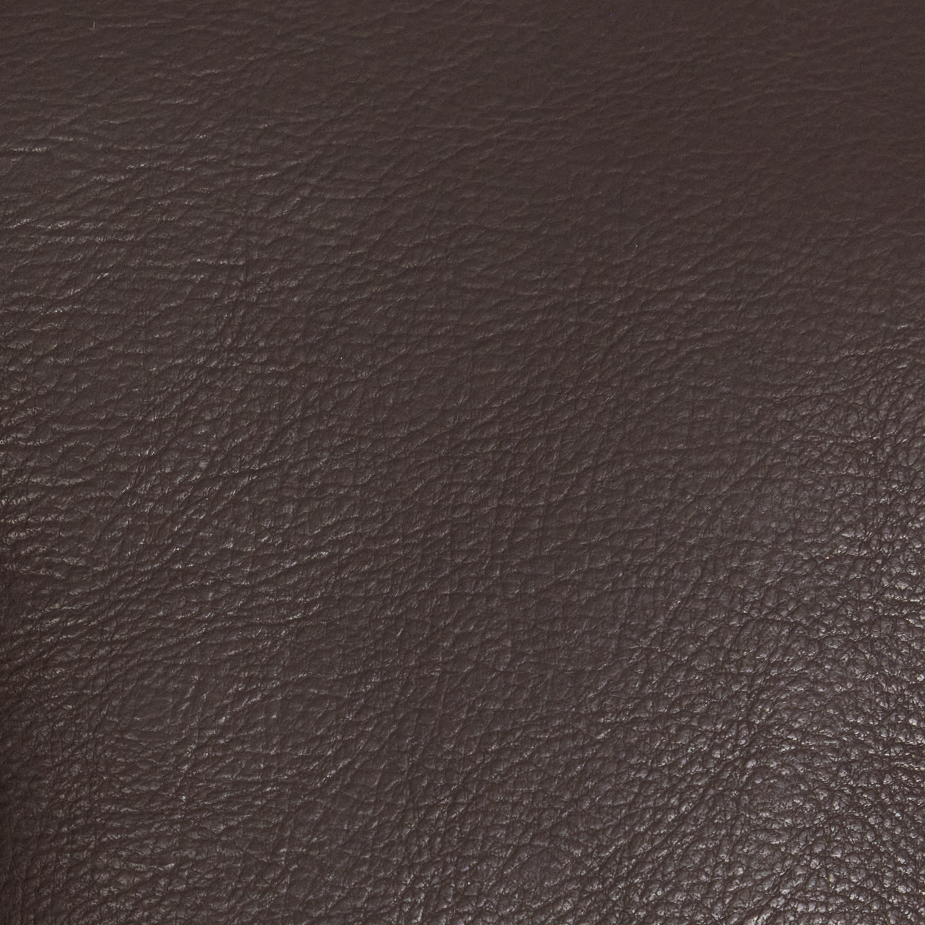 Mocha Dayle Shearling Jacket