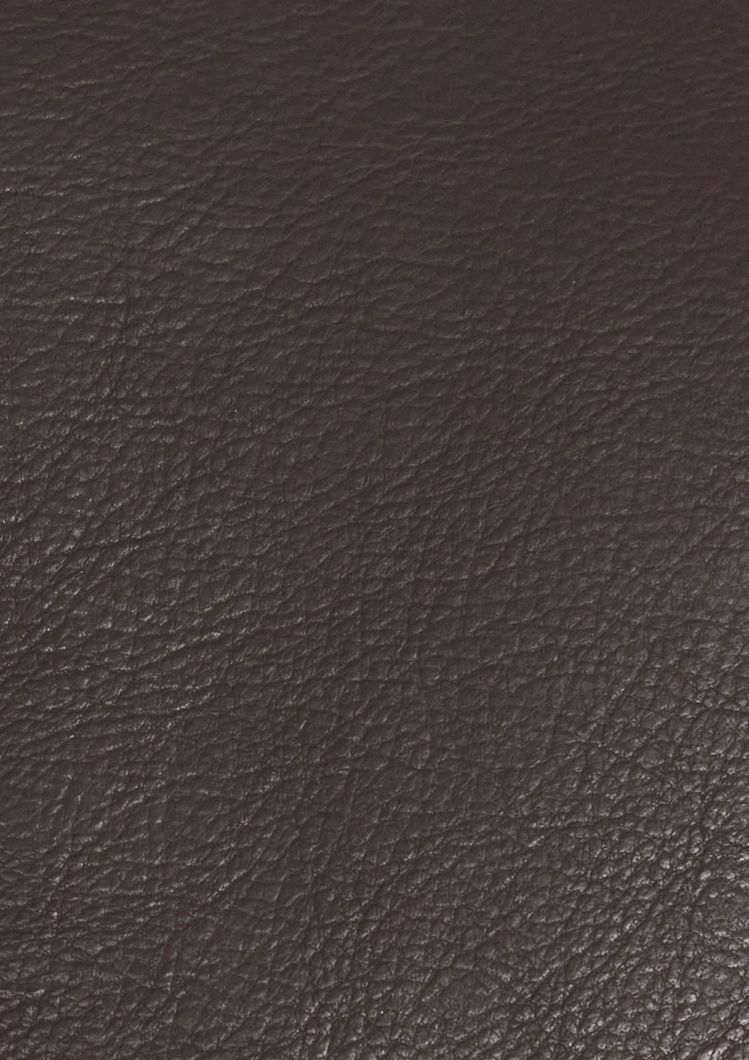 Mocha Dayle Shearling Jacket
