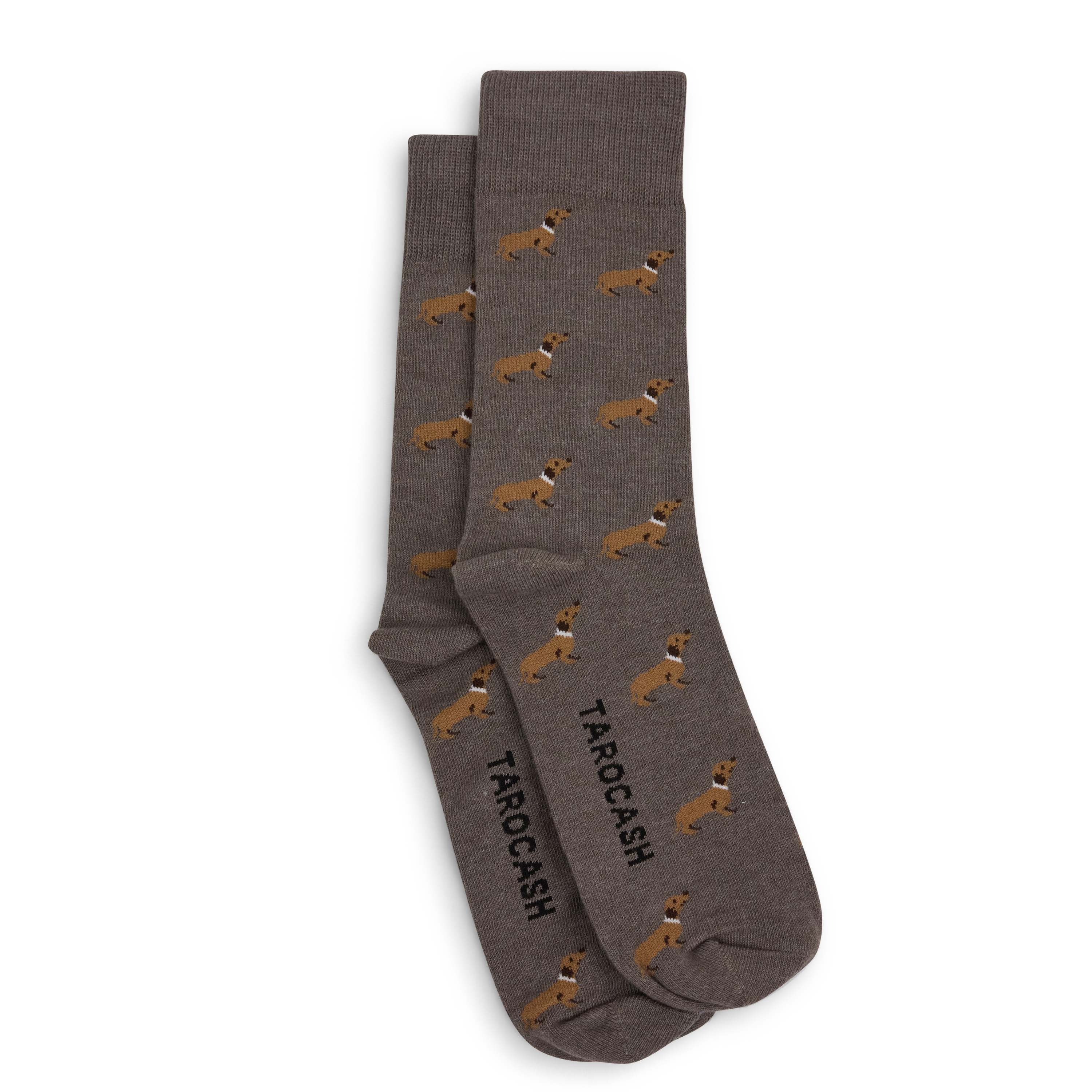 Dachsie Dog Sock