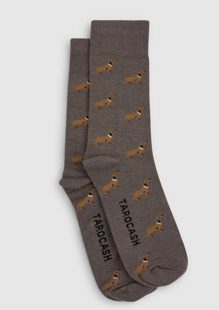 Dachsie Dog Sock