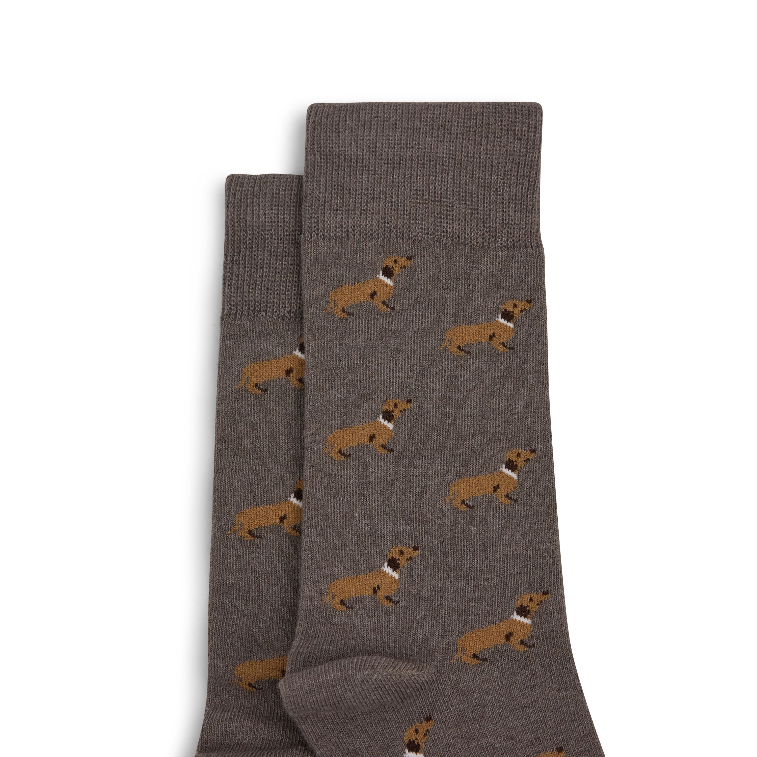 Dachsie Dog Sock