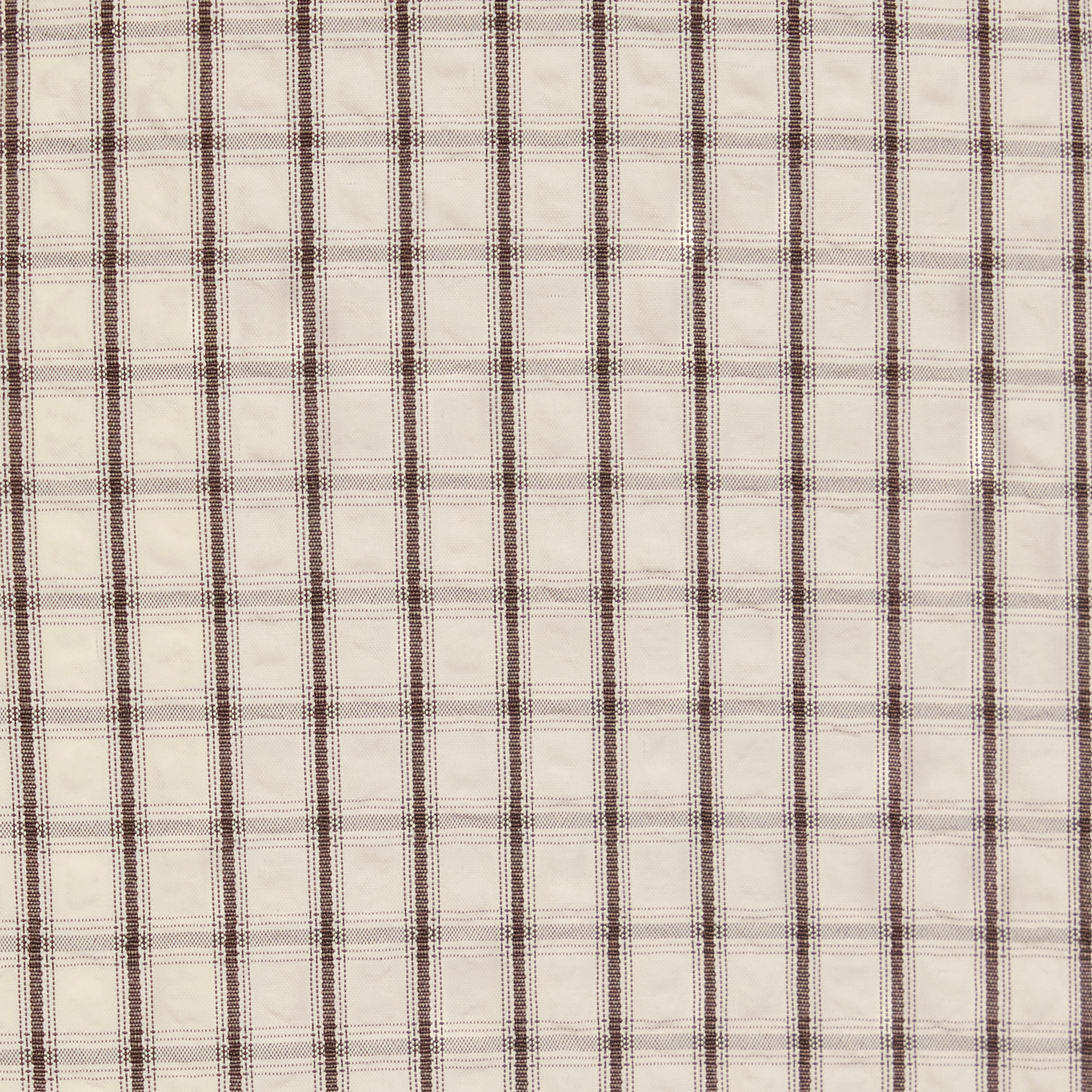 Ivory Clark Check Shirt
